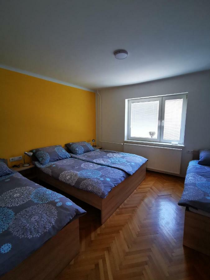 Apartmaji Tomsic Apartment *